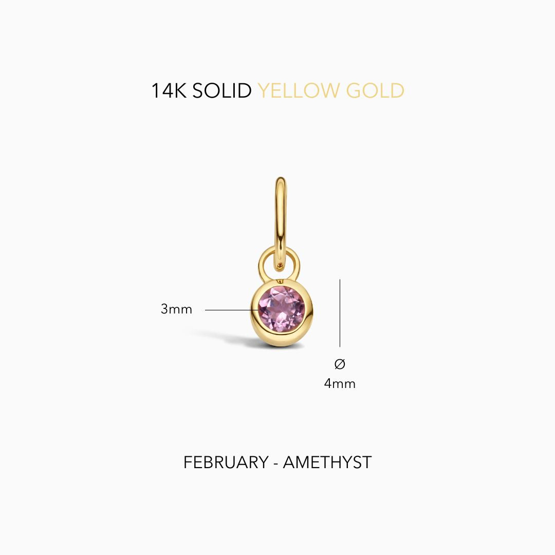 Birthstone Charm February