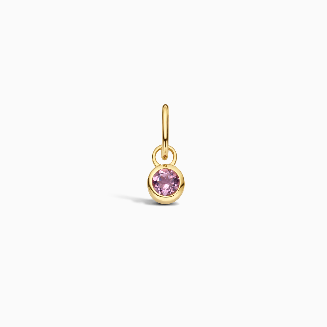 Birthstone Charm February