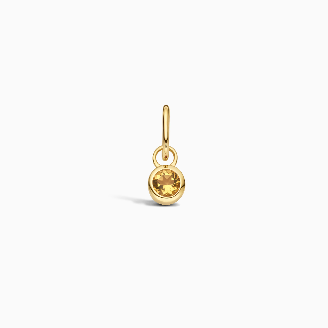 Birthstone Charm November