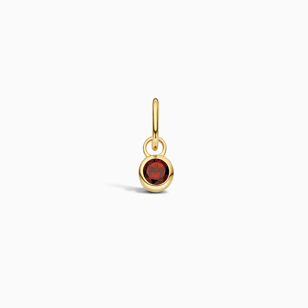 Birthstone Charm January