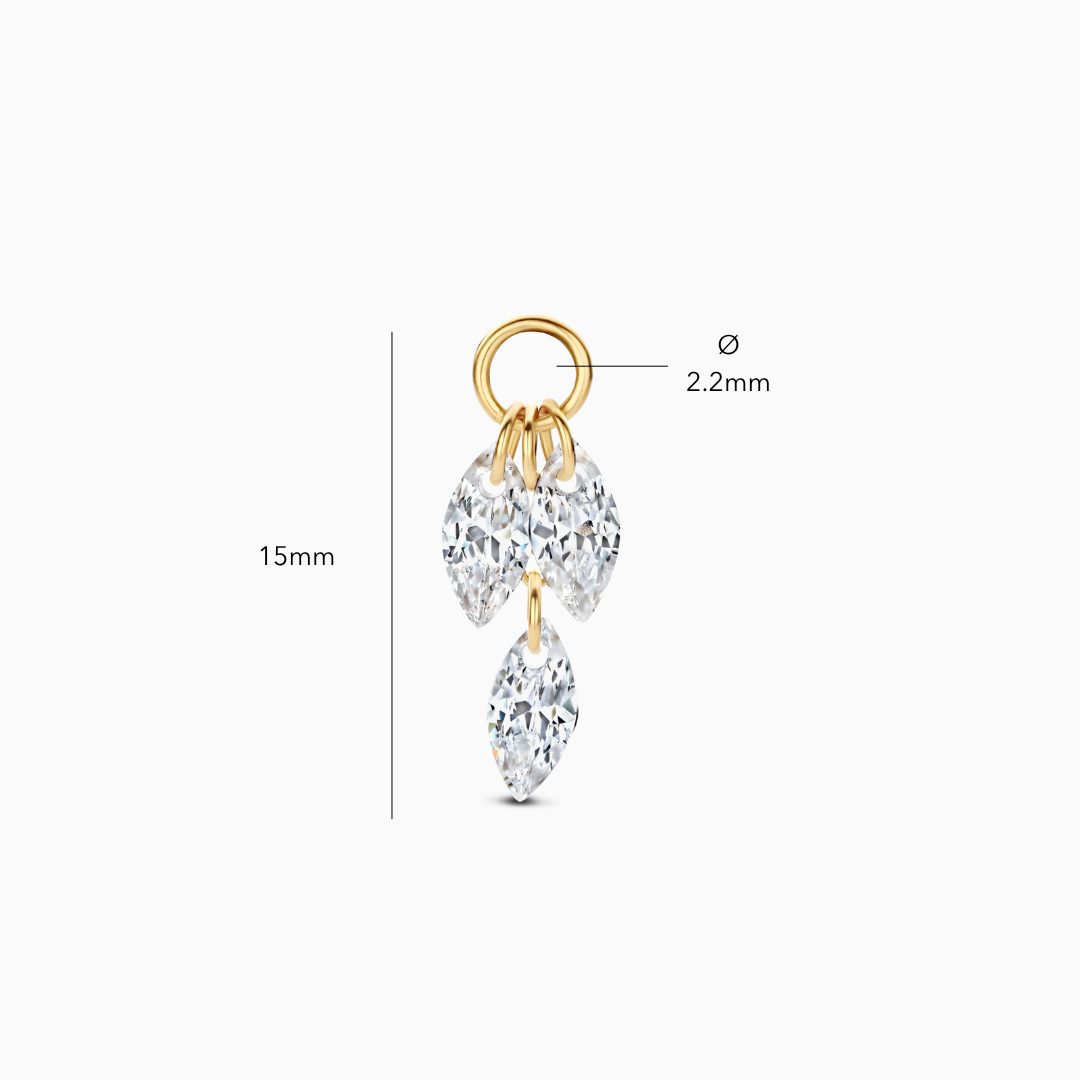Dean Charm