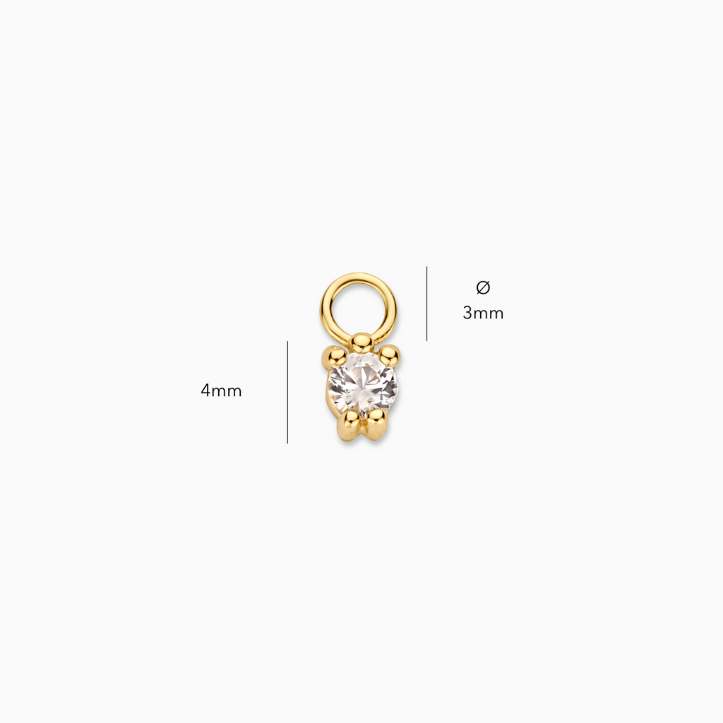 Single Round Hoop Charm